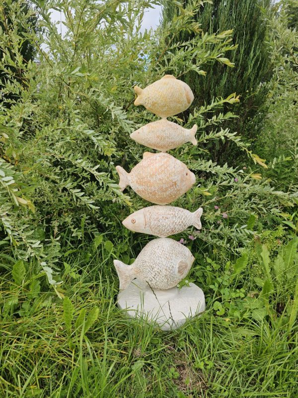 золотые рыбки