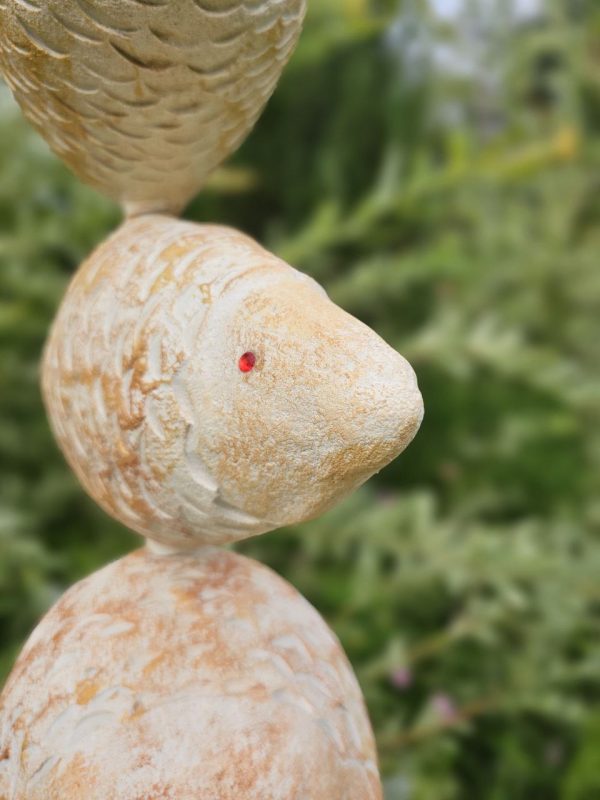 золотые рыбки