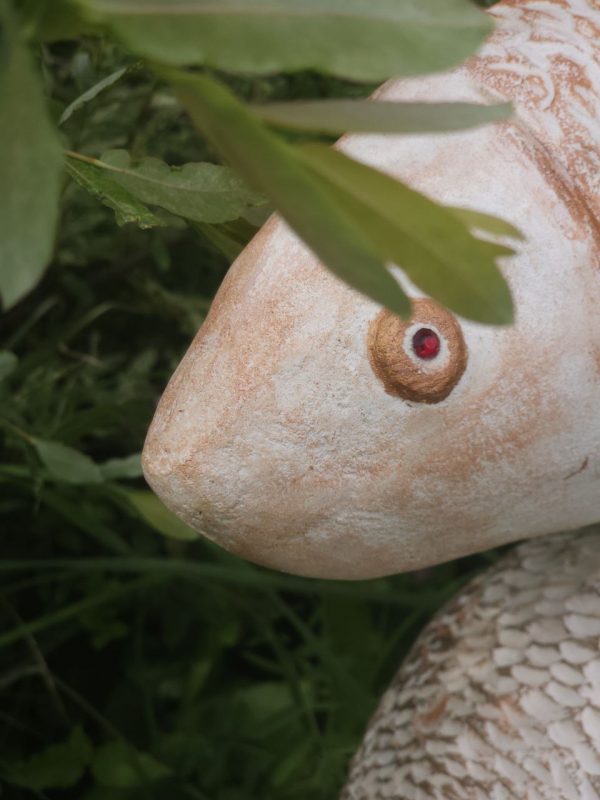 золотые рыбки