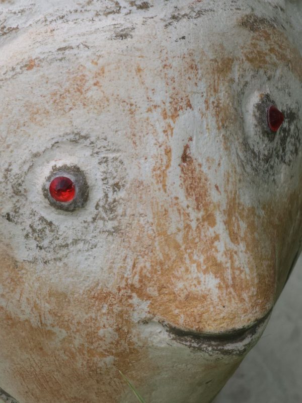 золотые рыбки