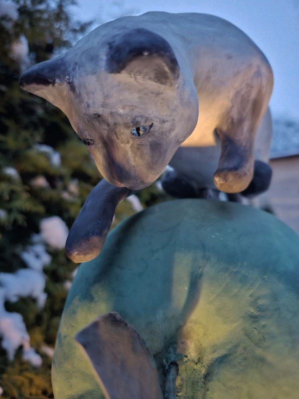 photo_2025-11-26_21-42-21 Кот и фрукты