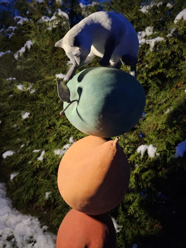 photo_9_2025-11-26_20-10-35 Кот и фрукты